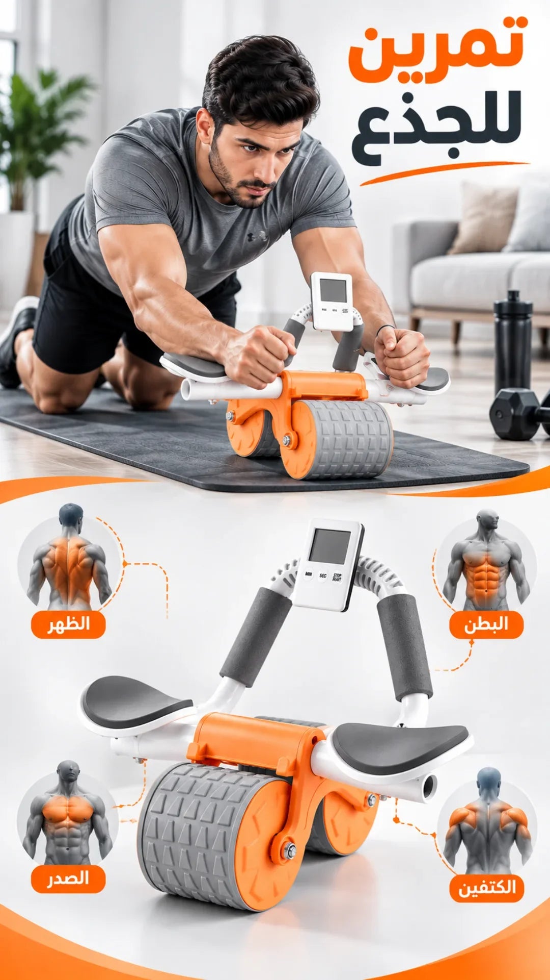 عجلة تمارين البطن